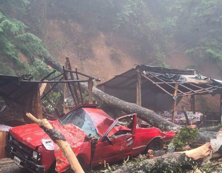 Cae árbol sobre varios autos en Tenancingo; hay un muerto y 6 lesionados